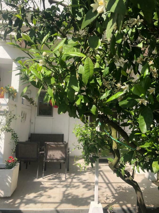 Apartments Mia Patria Ulcinj Extérieur photo